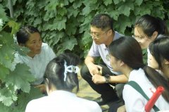<strong>东青大种苗无限公司的“砧木—品种精准</strong> <strong>东青大种苗无限公司的“砧木—品种精准</strong>